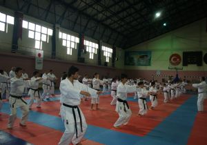 Karatede eğitim zirvesi